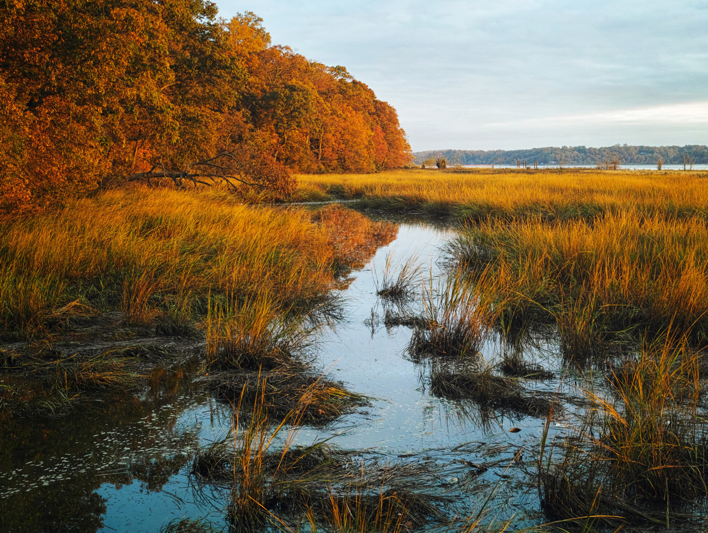 Long Island and Greater Westchester & Fairfield Chapter