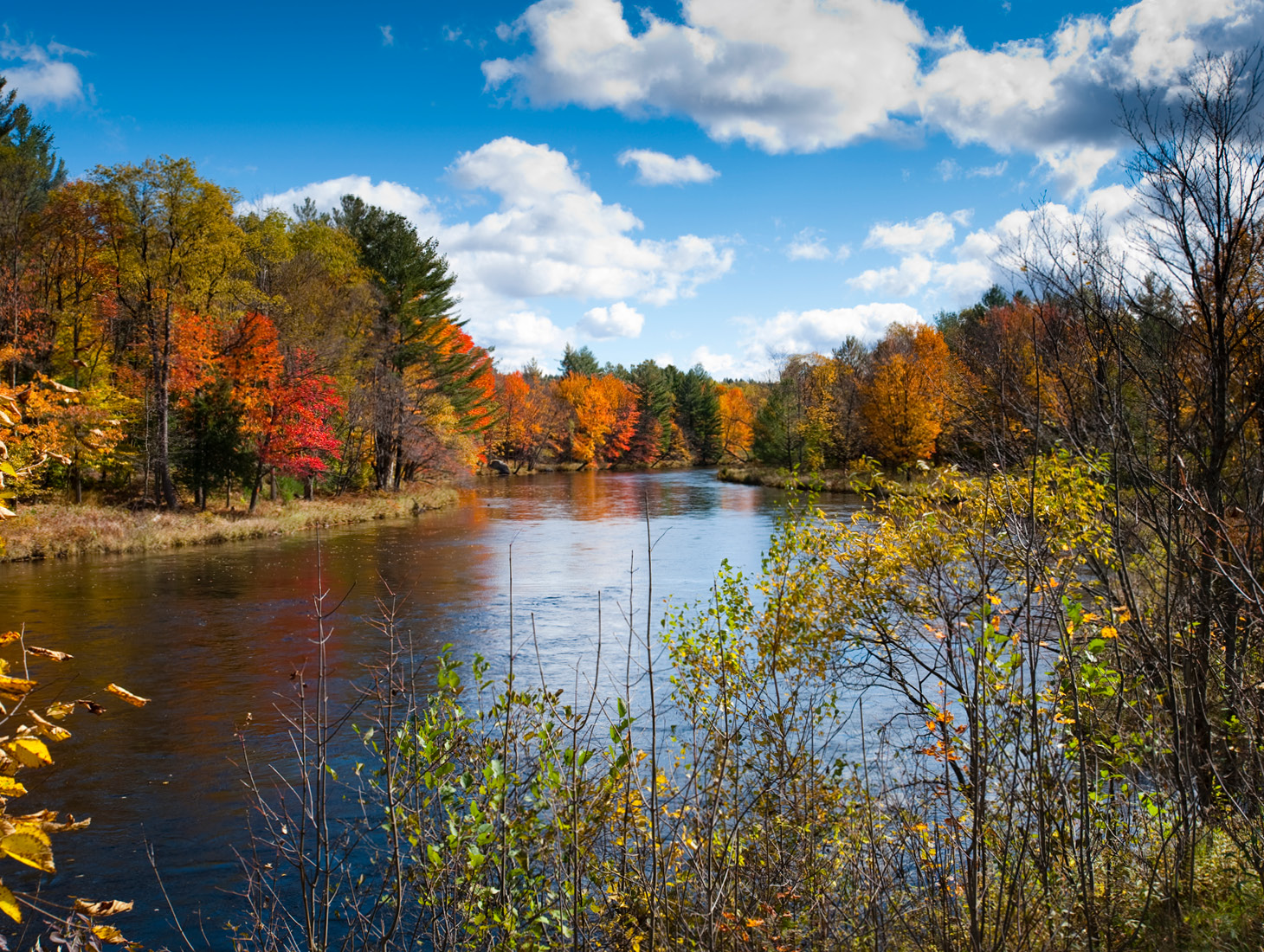 Northeast New York Chapter