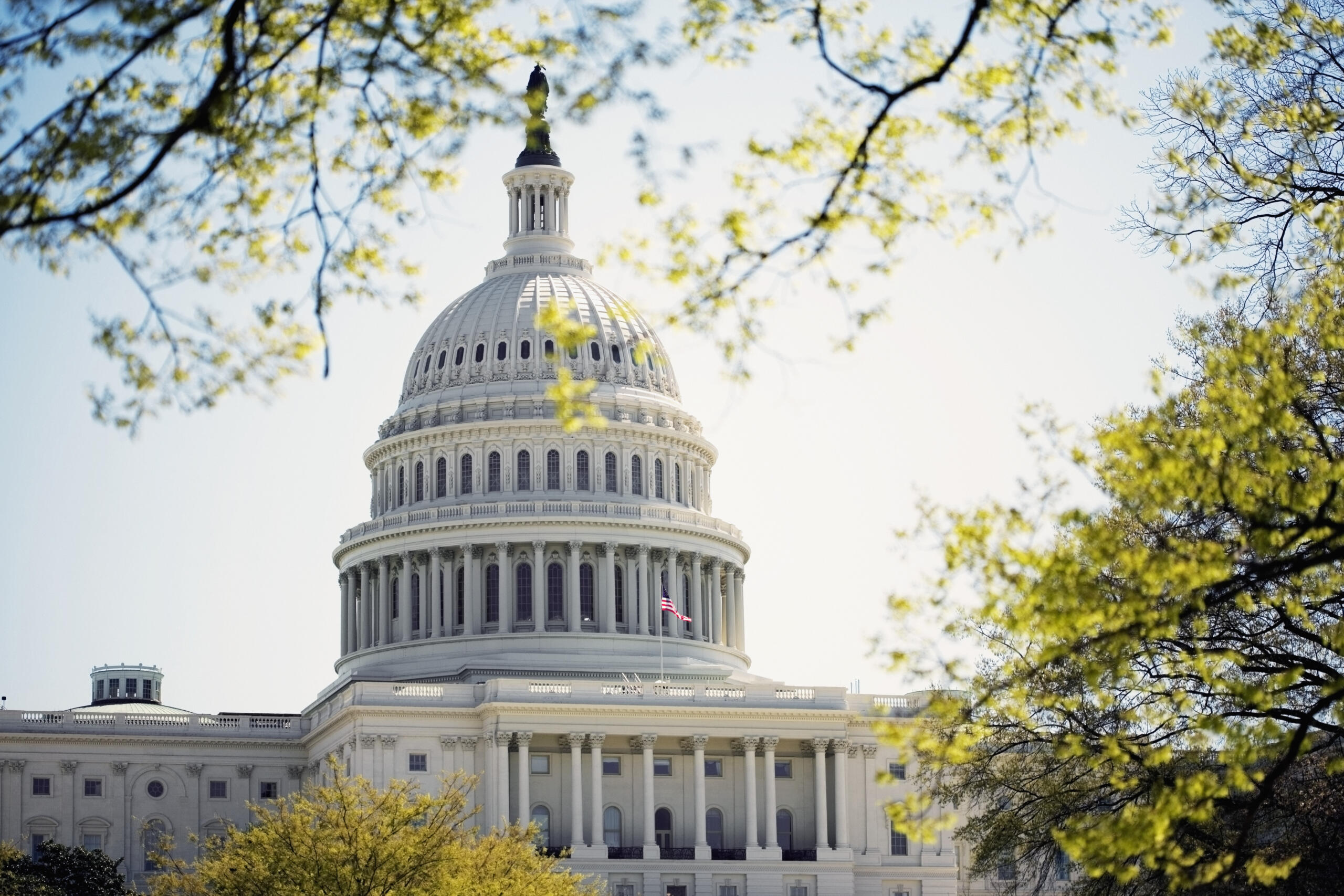 Image of U.S. Capitol Building