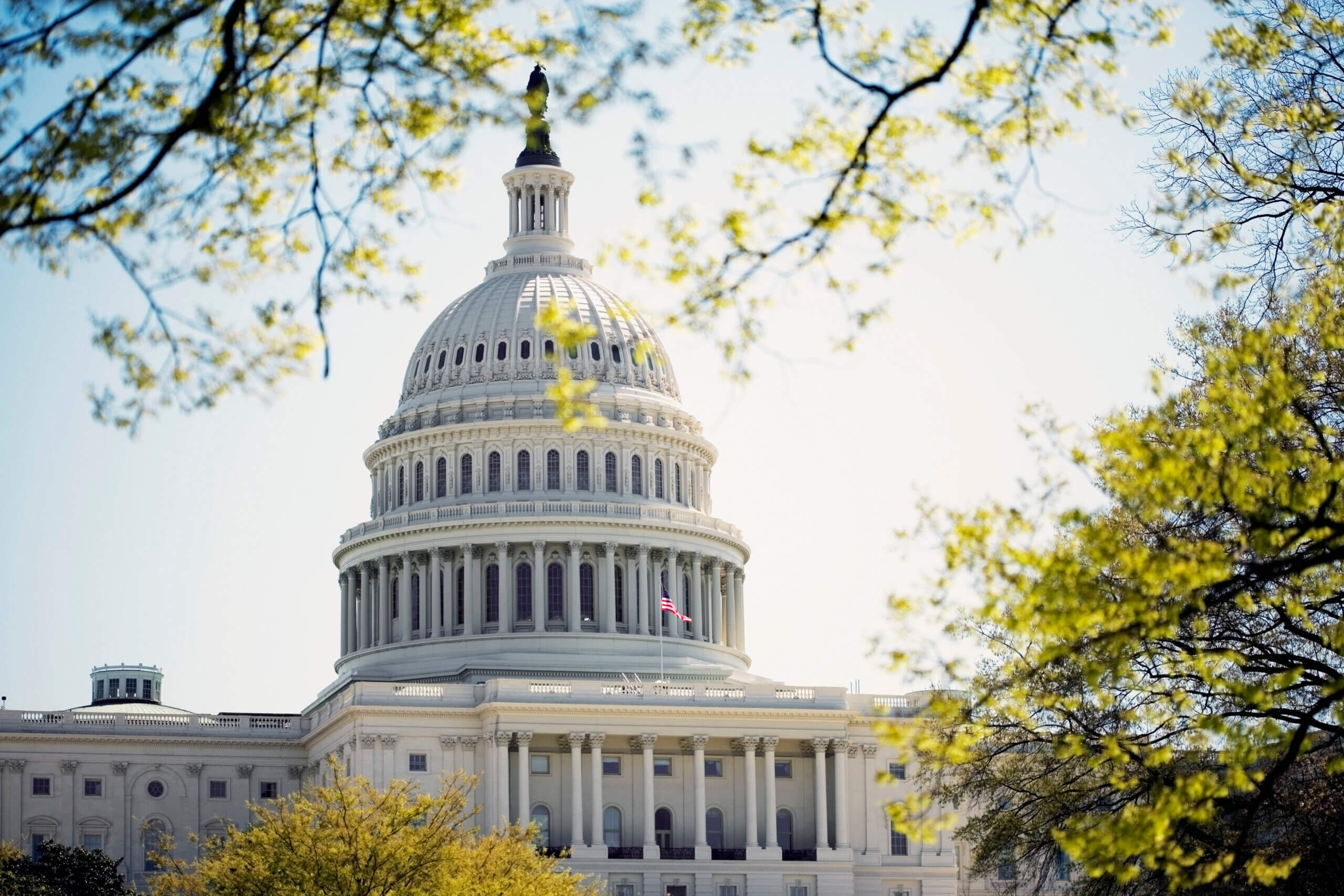 The essential role of Advocacy in advancing T1D cell therapies